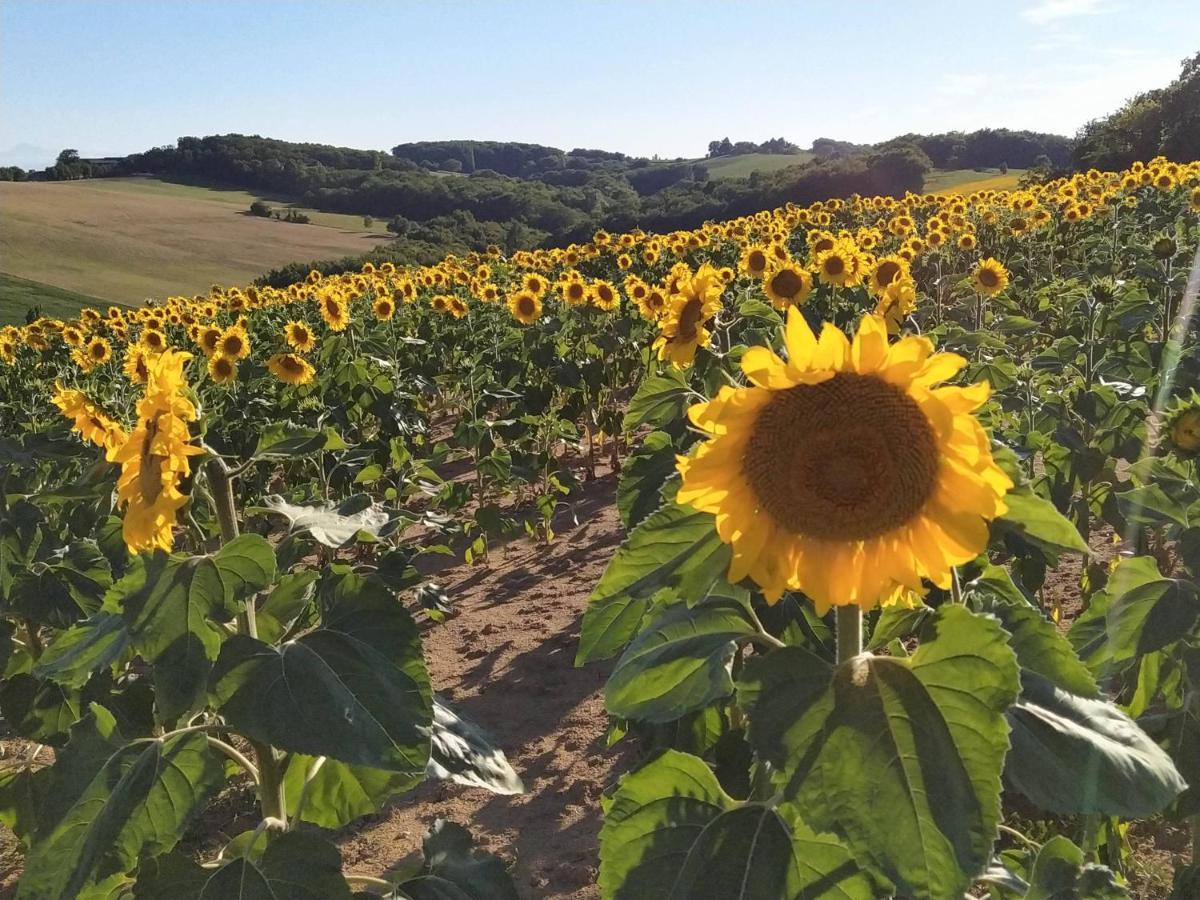Les Gites De Campardon Monties Exteriér fotografie