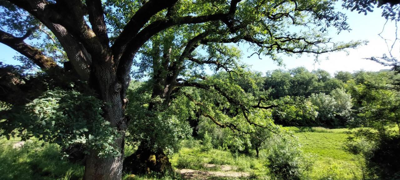 Les Gites De Campardon Monties Exteriér fotografie